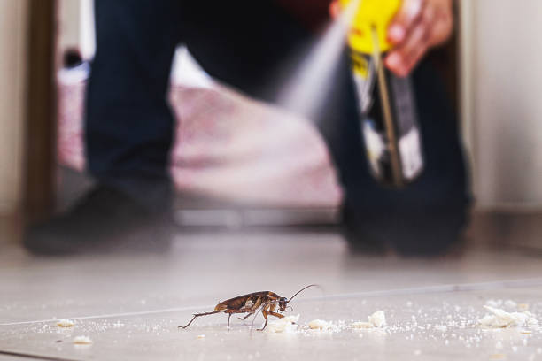 Best Wasp Removal Services  in Brewton, AL